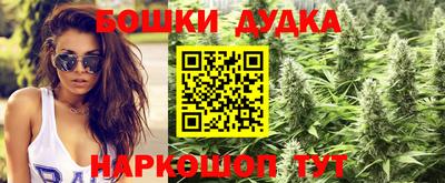 прущие грибы Вышний Волочёк