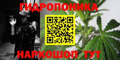 2c-b Вязьма