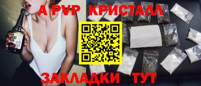 прущие грибы Вышний Волочёк