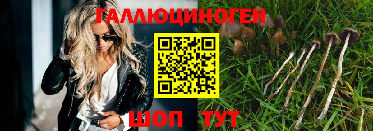 Галлюциногенные грибы мухоморы  Вход с VPN  Грозный 